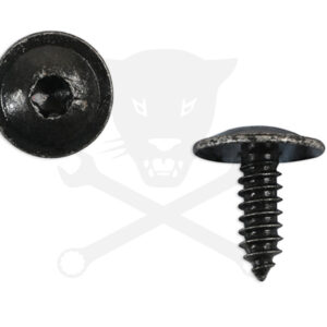 Acél rögzítőcsavar Torx kialakítású fejjel VW gépk. 10 db -