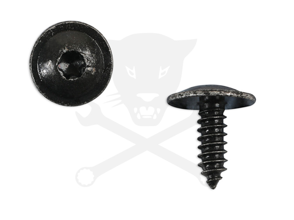 Acél rögzítőcsavar Torx kialakítású fejjel VW gépk. 10 db -