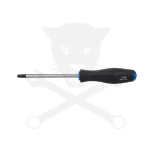 Csavarhúzó torx - lyukas - T40 - 125 mm